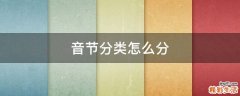 音节分类怎么分