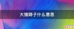 大猪蹄子什么意思