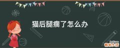 猫后腿瘸了怎么办
