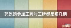 郭麒麟参加王牌对王牌都是哪几期