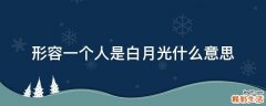 形容一个人是白月光什么意思