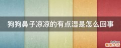 狗狗鼻子凉凉的有点湿是怎么回事