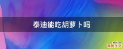 泰迪能吃胡萝卜吗