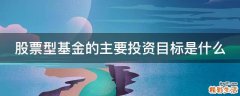 股票型基金的主要投资目标是什么