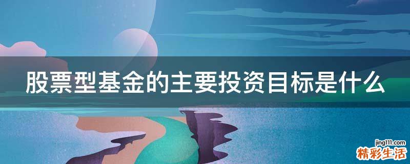 股票型基金的主要投资目标是什么