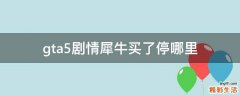 gta5剧情犀牛买了停哪里