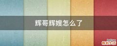 辉哥辉嫂怎么了