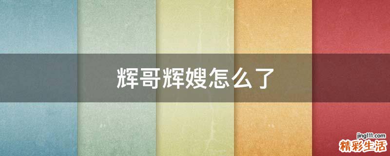 辉哥辉嫂怎么了