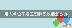 用人单位不发工资辞职以后怎么办