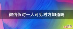 微信仅对一人可见对方知道吗
