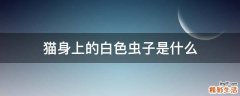 猫身上的白色虫子是什么