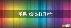 苹果11怎么打开nfc