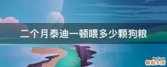 二个月泰迪一顿喂多少颗狗粮