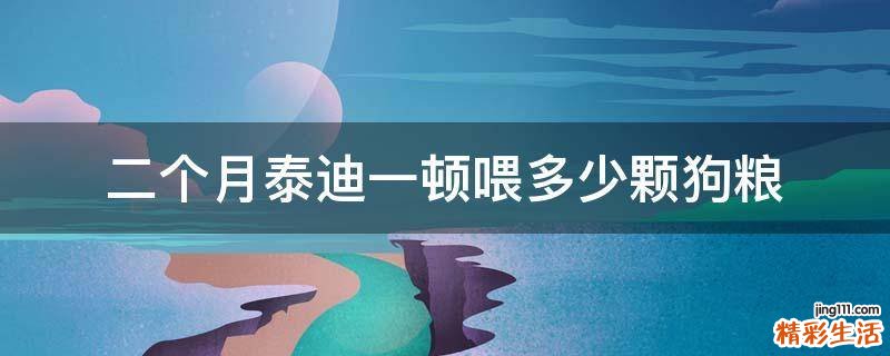 二个月泰迪一顿喂多少颗狗粮