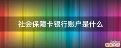 社会保障卡银行账户是什么