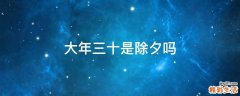 大年三十是除夕吗