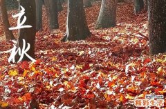 2023年立秋日是哪一天 今年立秋是几号