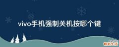 vivo手机强制关机按哪个键