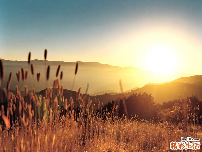 硝基四唑氮蓝试验