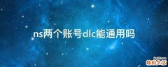 ns两个账号dlc能通用吗