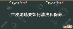牛皮地毯要如何清洗和保养