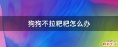 狗狗不拉粑粑怎么办