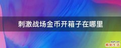 刺激战场金币开箱子在哪里