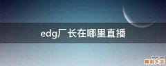 edg厂长在哪里直播