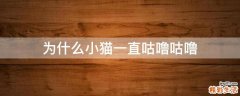 为什么小猫一直咕噜咕噜