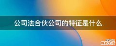 公司法合伙公司的特征是什么