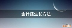 金针菇生长方法