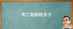 死亡险能赔多少