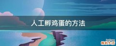 人工孵鸡蛋的方法