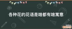 各种花的花语是啥都有啥寓意