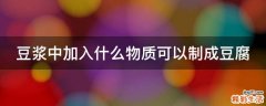 豆浆中加入什么物质可以制成豆腐