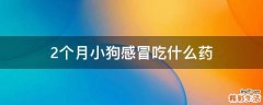 2个月小狗感冒吃什么药