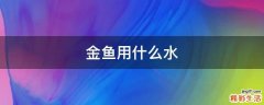 金鱼用什么水