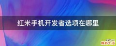 红米手机开发者选项在哪里