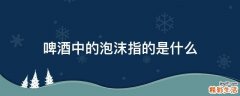 啤酒中的泡沫指的是什么