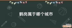 鹤岗属于哪个城市