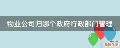 物业公司归哪个政府行政部门管理