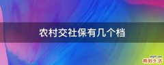 农村交社保有几个档