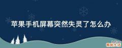 苹果手机屏幕突然失灵了怎么办