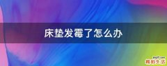 床垫发霉了怎么办