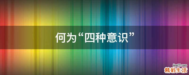 何为“四种意识”