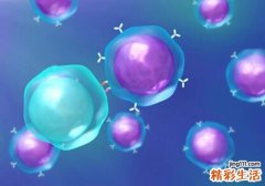 hpv的症状是什么