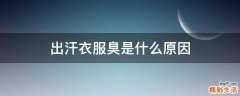 出汗衣服臭是什么原因