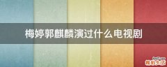 梅婷郭麒麟演过什么电视剧