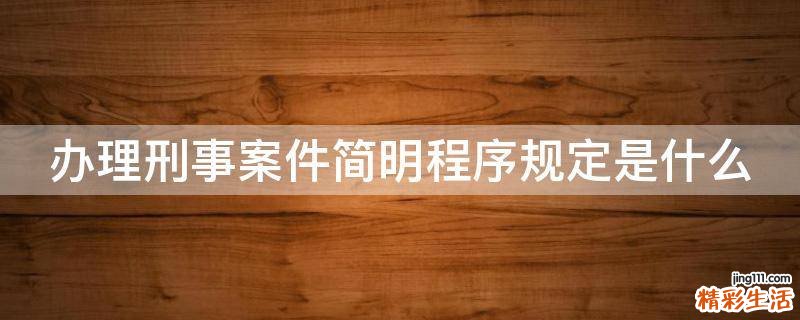 办理刑事案件简明程序规定是什么