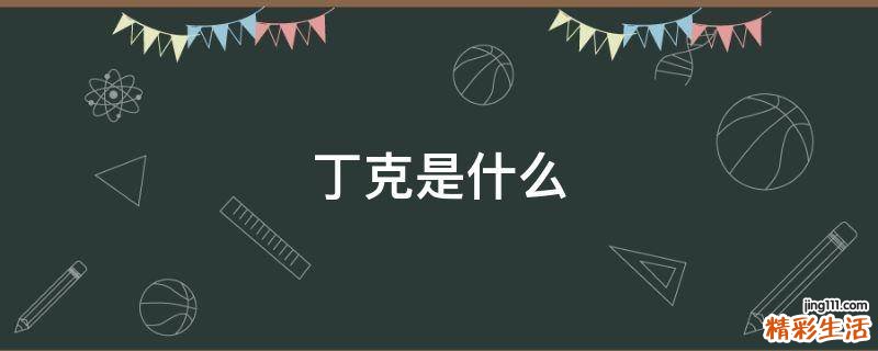 丁克是什么